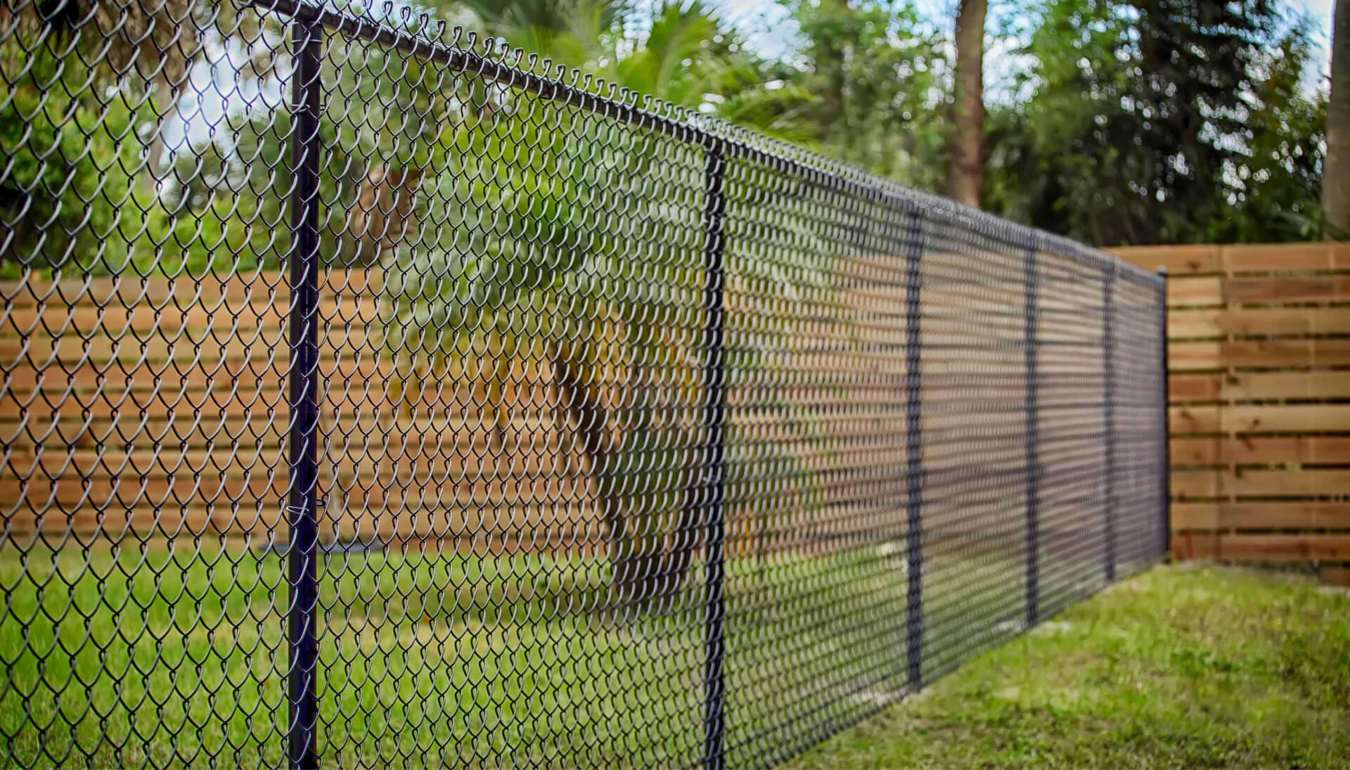 chain link fence installation services in Tallahassee